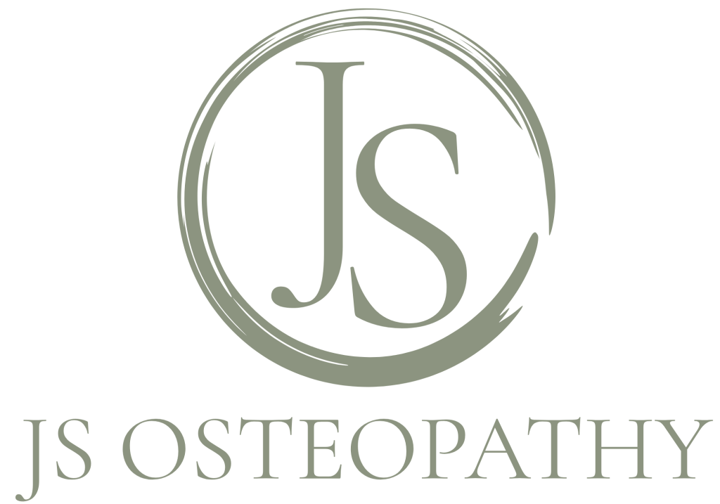 jso logo no tagline